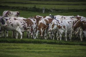 Fietstocht IJssel-45