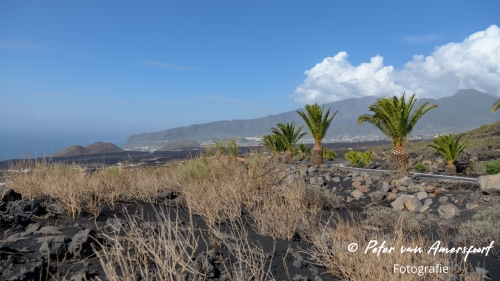 Vakantie La Palma