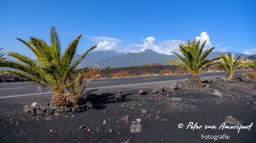 Vakantie La Palma