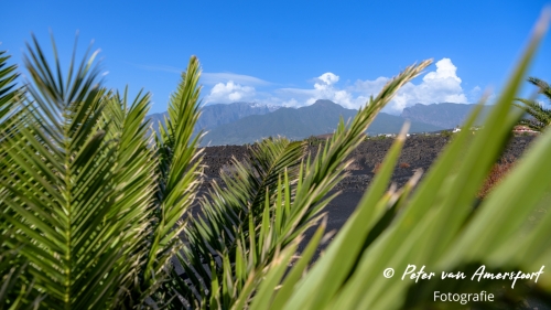 Vakantie La Palma