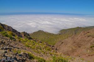 2014-07 La Palma-18