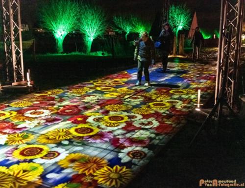 2019-03-07 LichtFestival Kasteel Doornenburgi 005