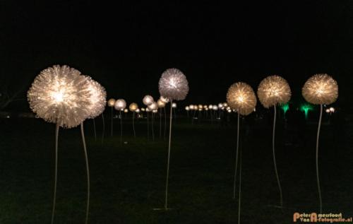 2019-03-07 LichtFestival Kasteel Doornenburgi 008