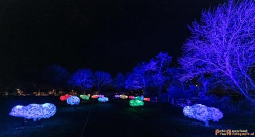 2019-03-07 LichtFestival Kasteel Doornenburgi 012
