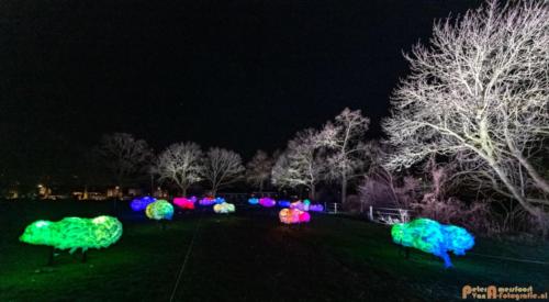 2019-03-07 LichtFestival Kasteel Doornenburgi 013