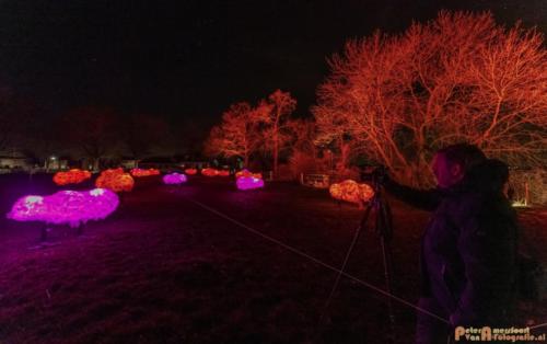2019-03-07 LichtFestival Kasteel Doornenburgi 014