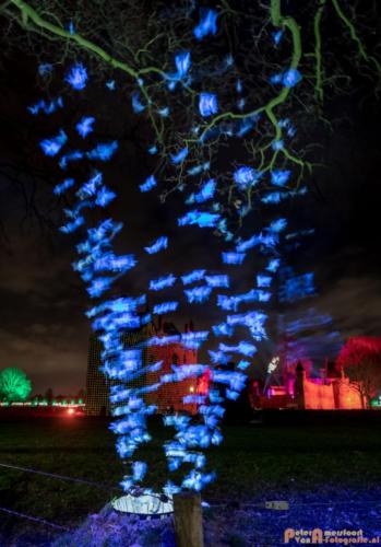 2019-03-07 LichtFestival Kasteel Doornenburgi 021