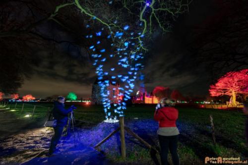 2019-03-07 LichtFestival Kasteel Doornenburgi 022