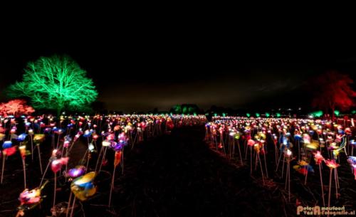 2019-03-07 LichtFestival Kasteel Doornenburgi 032