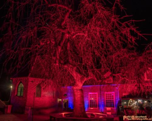 2019-03-07 LichtFestival Kasteel Doornenburgi 043