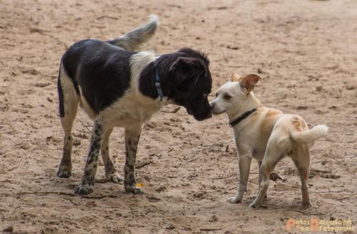 2017-08-06 Marco&Luna 04