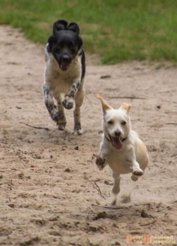 2017-08-06 Marco&Luna 05