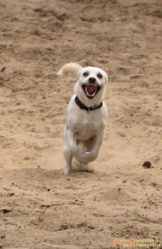 2017-08-06 Marco&Luna 08