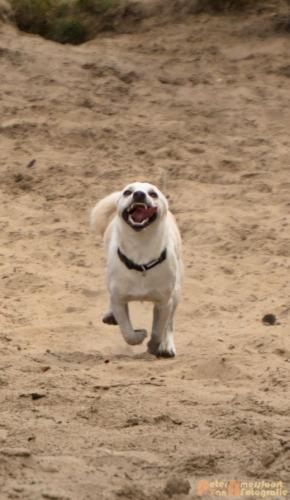 2017-08-06 Marco&Luna 09