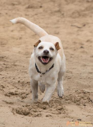 2017-08-06 Marco&Luna 14