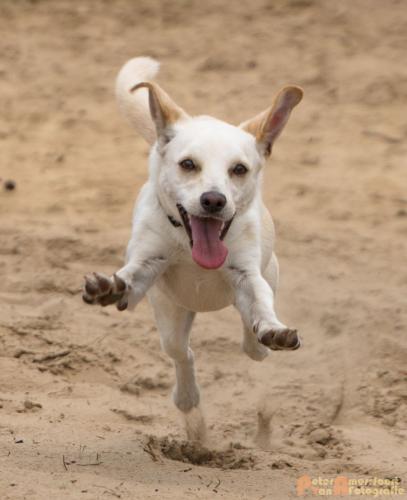 2017-08-06 Marco&Luna 15