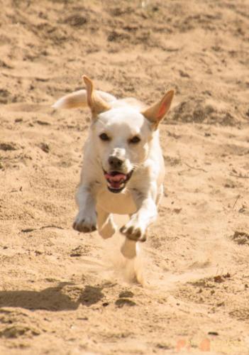 2017-08-06 Marco&Luna 18