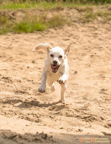 2017-08-06 Marco&Luna 19