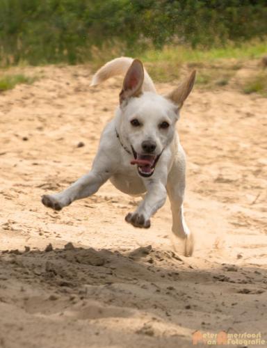 2017-08-06 Marco&Luna 20