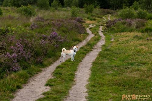 2017-08-06 Marco&Luna 26