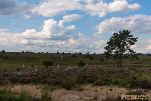 2017-08-06 Marco&Luna 27