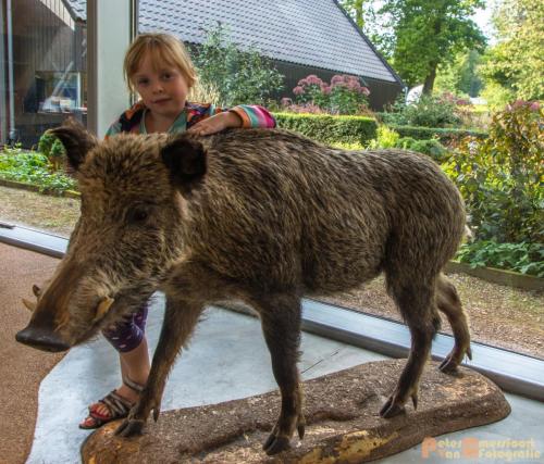 2017-09-17 Marjolein Speeltuin 01