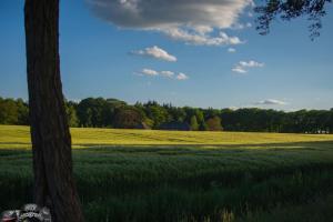 2017-05-25 Molentocht-34