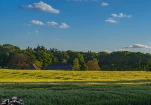 2017-05-25 Molentocht-35