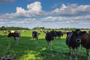 2017-05-25 Molentocht-7