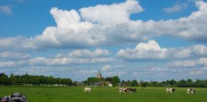 2017-05-25 Molentocht-8