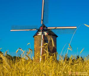 2017-06-26 Buitenmolen Zevenaar-5