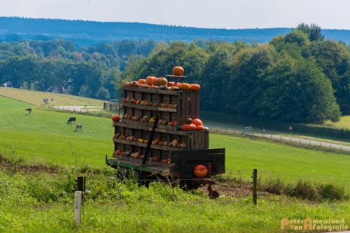 2017-09-03 Pompoenwagen aan de Zevenheuvelenweg-01