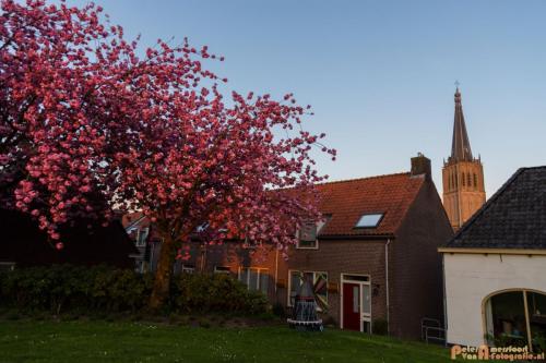 2018-04-19 Doesburg 004