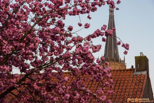 2018-04-19 Doesburg 005