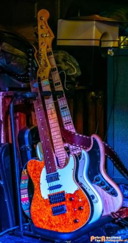 Optreden Coverband Phoenix