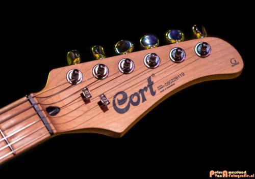 Optreden Coverband Phoenix