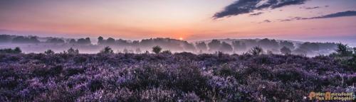 2017-08-16 Posbank Zonsopkomst-02