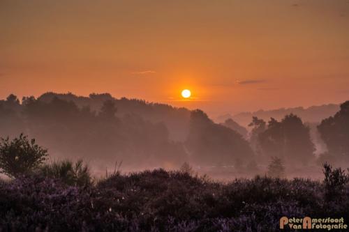 2017-08-16 Posbank Zonsopkomst-04