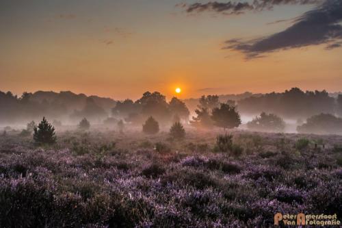 2017-08-16 Posbank Zonsopkomst-05