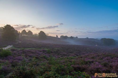 2017-08-16 Posbank Zonsopkomst-07