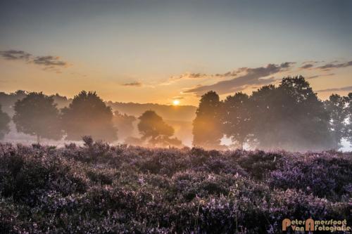 2017-08-16 Posbank Zonsopkomst-08