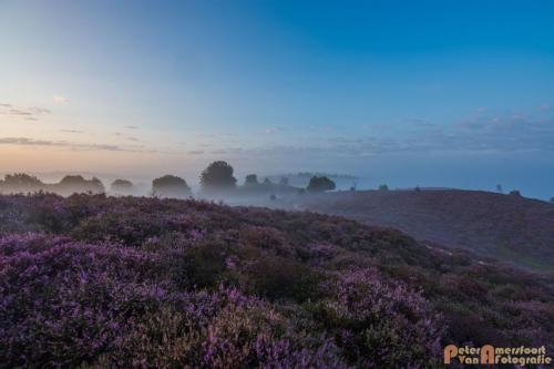 2017-08-16 Posbank Zonsopkomst-09