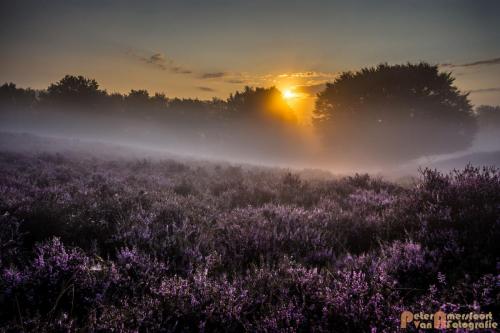 2017-08-16 Posbank Zonsopkomst-10
