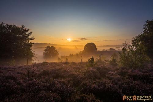 2017-08-16 Posbank Zonsopkomst-15