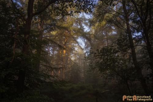 2017-08-16 Posbank Zonsopkomst-18