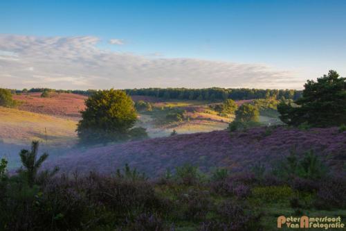 2017-08-16 Posbank Zonsopkomst-25
