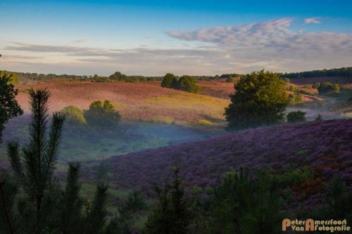 2017-08-16 Posbank Zonsopkomst-26