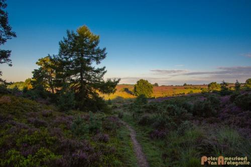2017-08-16 Posbank Zonsopkomst-27