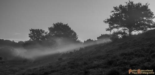 2017-08-16 Posbank Zonsopkomst-28