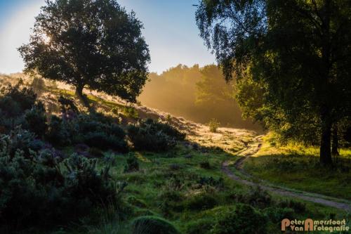 2017-08-16 Posbank Zonsopkomst-33